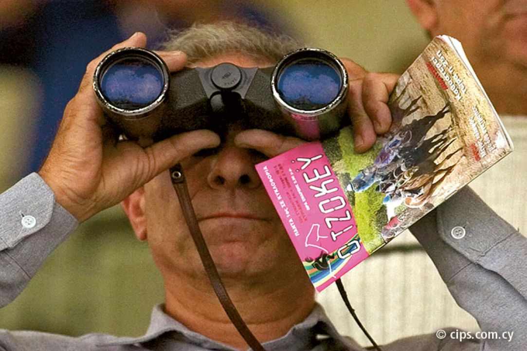 Bet on the wrong horse