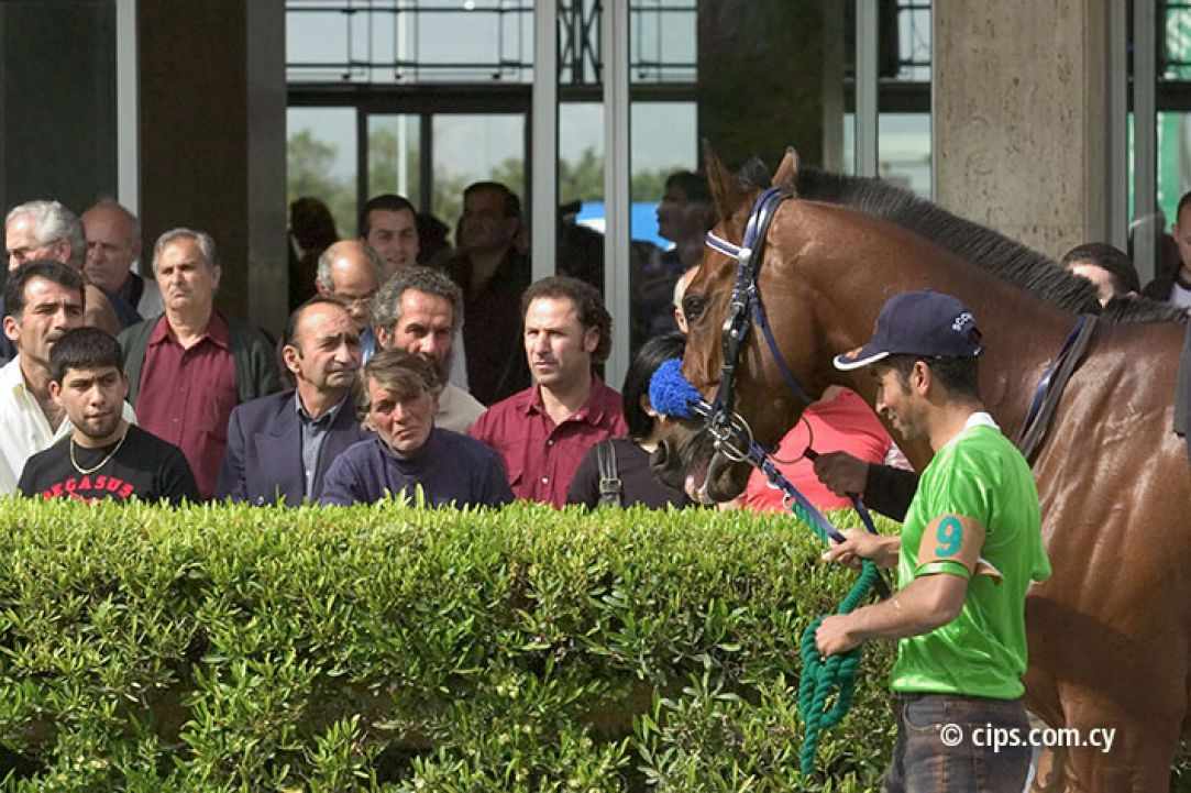 Bet on the wrong horse
