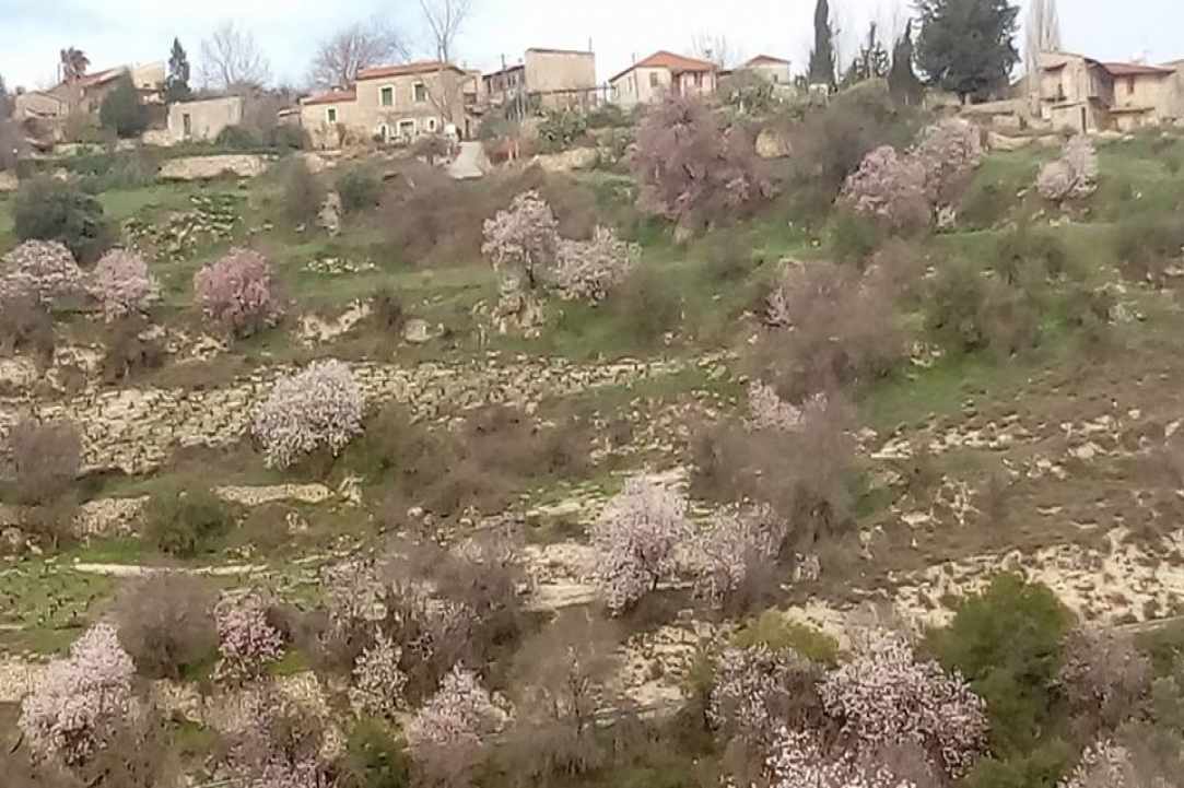 Το χωριό Μαλλιά Λεμεσού