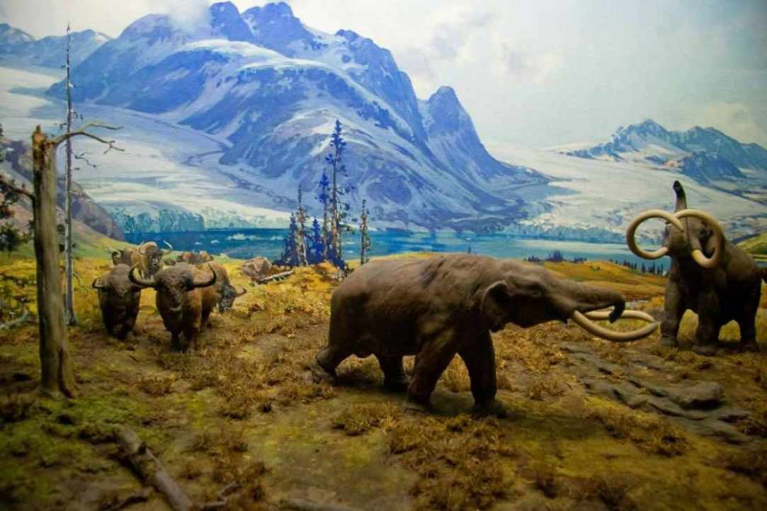 Έκθεση: Ανακάλυψε την Εποχή των Παγετώνων - «Explore the Ice Age»