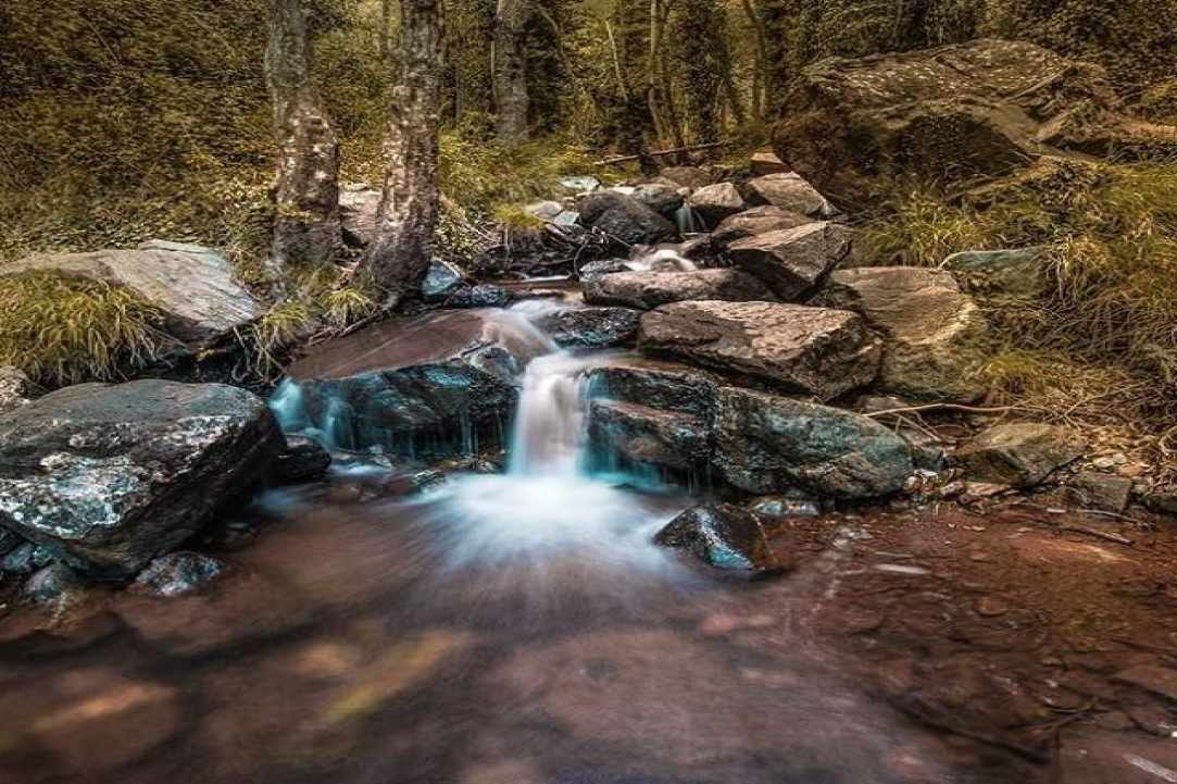 Marco Haber – A talented photographer/student    gallery image 2