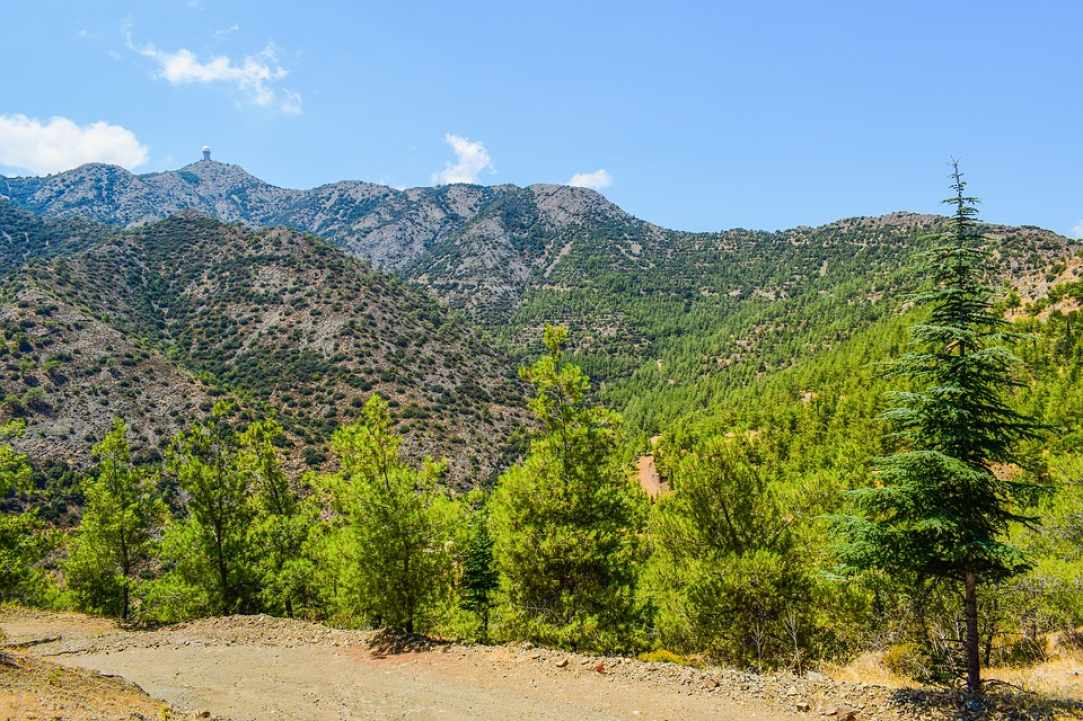 Ο Γρηγόρης Αυξεντίου - Ο Σταυραετός του Μαχαιρά 