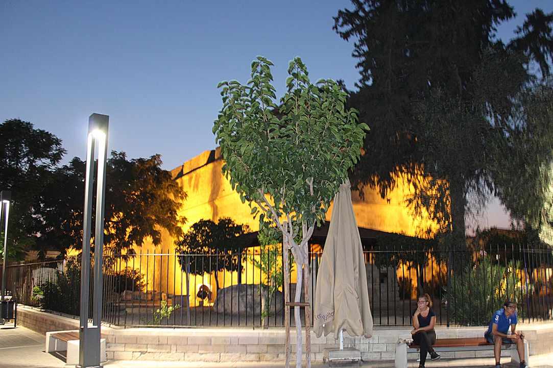 Medieval Castle & Museum of Limassol
