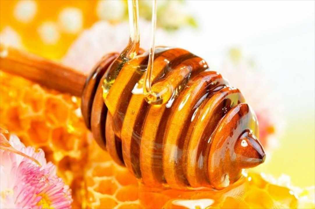 Το 1ο Παγκύπριο Φεστιβάλ Μελιού και Προϊόντων Κυψέλης είναι γεγονός 