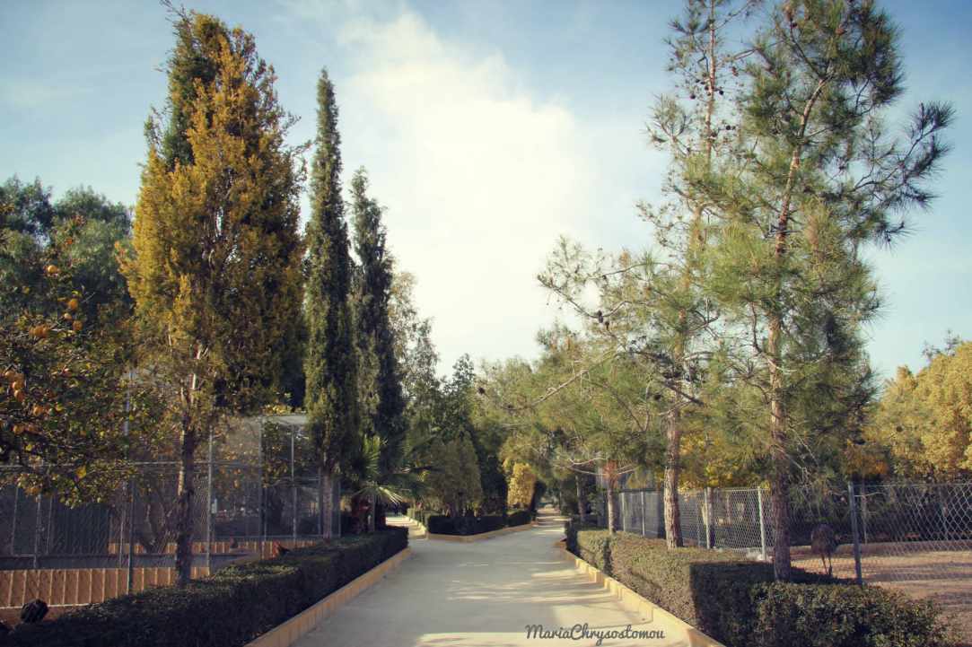 An amazing place with birds and animals from all over the world