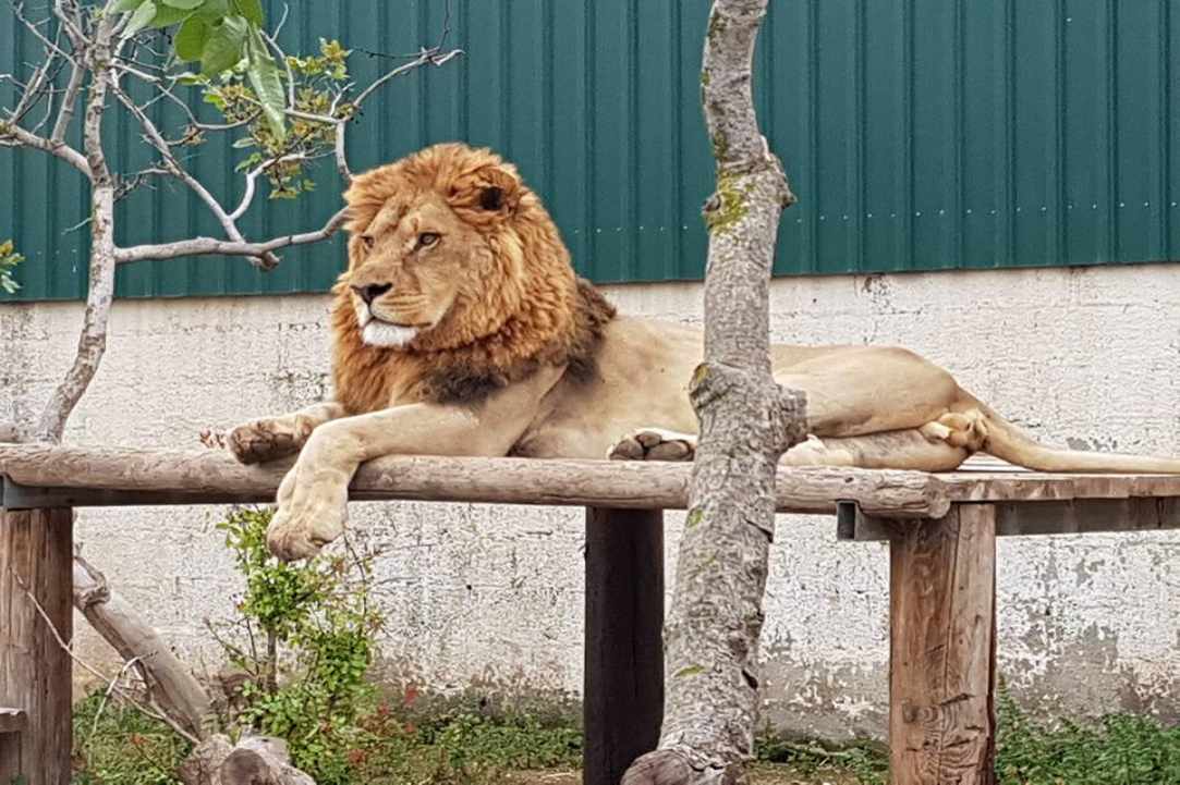 An amazing place with birds and animals from all over the world