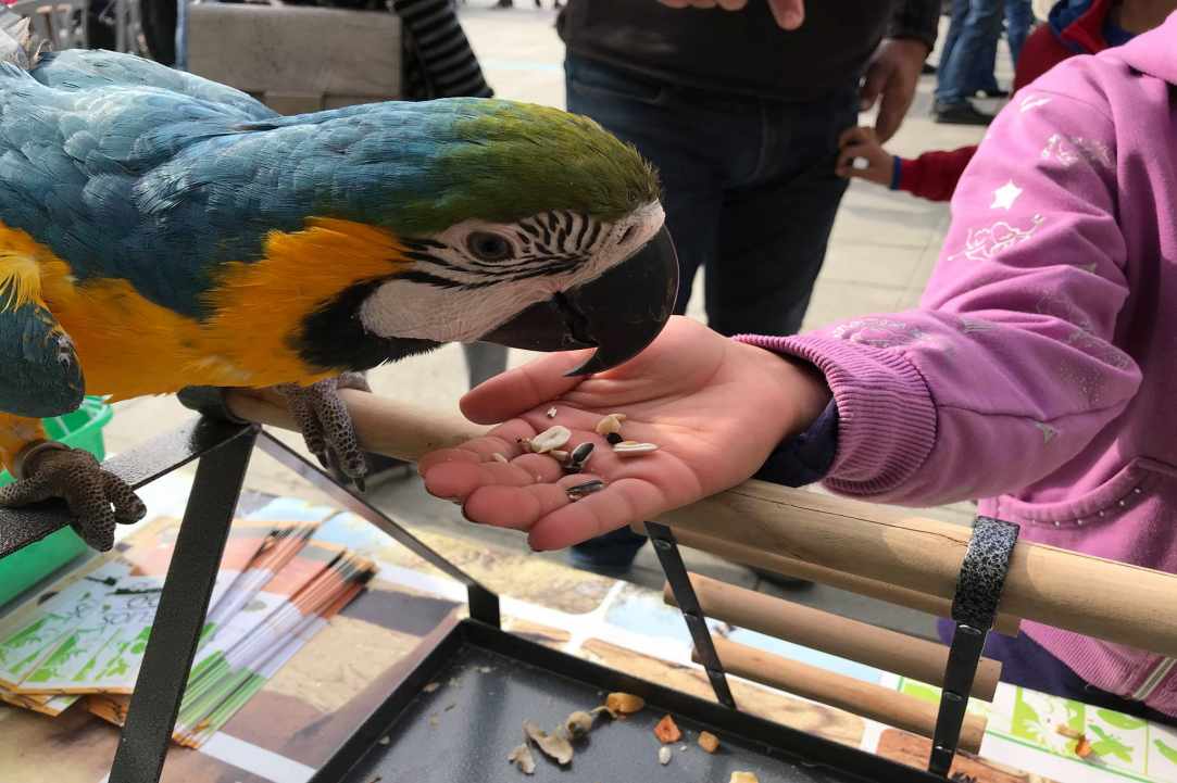 An amazing place with birds and animals from all over the world