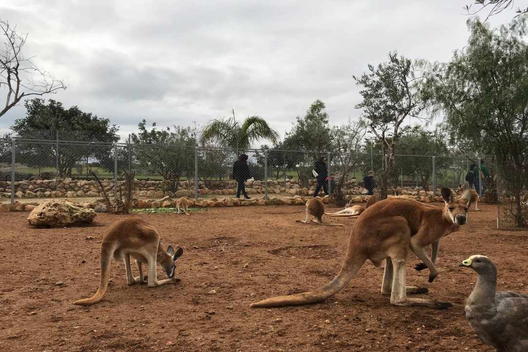 An amazing place with birds and animals from all over the world