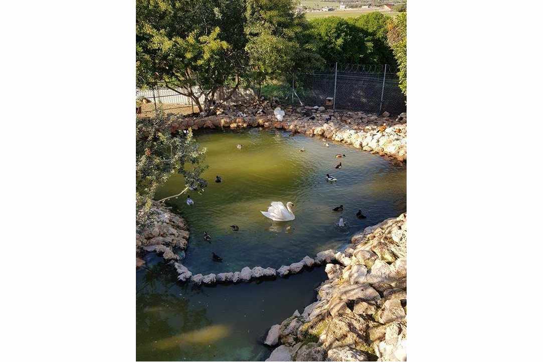 An amazing place with birds and animals from all over the world