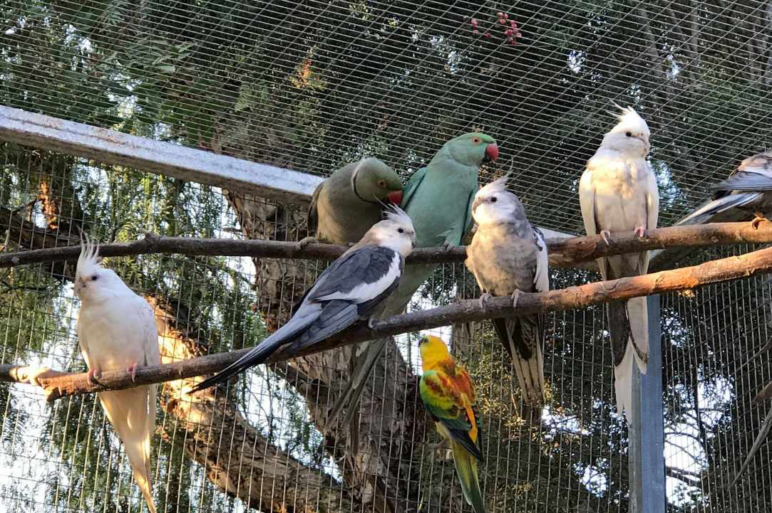 An amazing place with birds and animals from all over the world