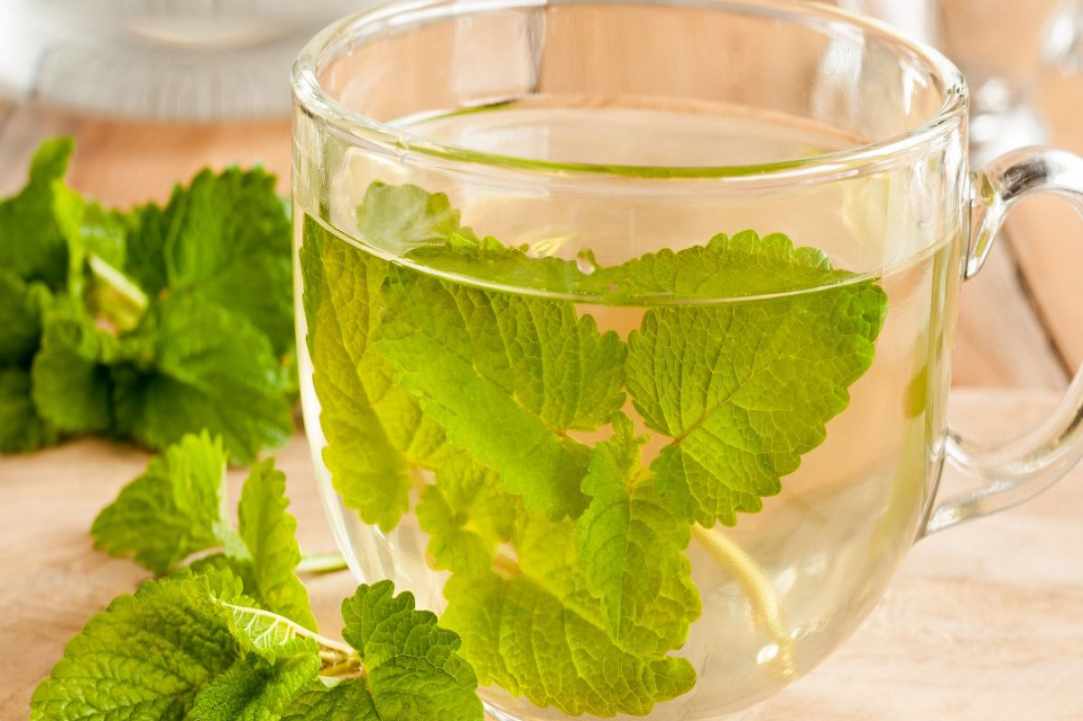 Μελισσόχορτο: Το Ταπεινό Βότανο με τα Πολλαπλά Οφέλη