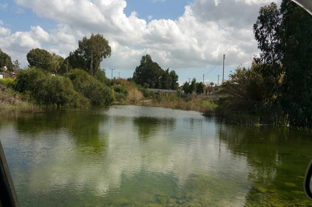 Μένοικο 