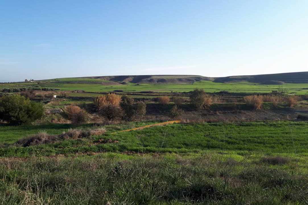 Μένοικο 