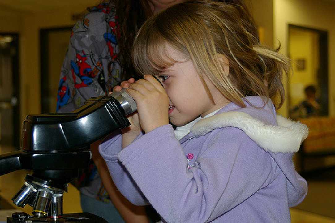 A series of multidisciplinary workshops for children aiming at developing knowledge and experience!