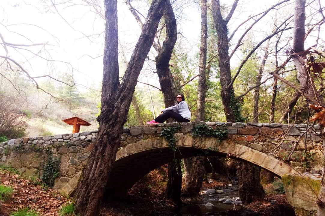 Medieval stone bridge Milia