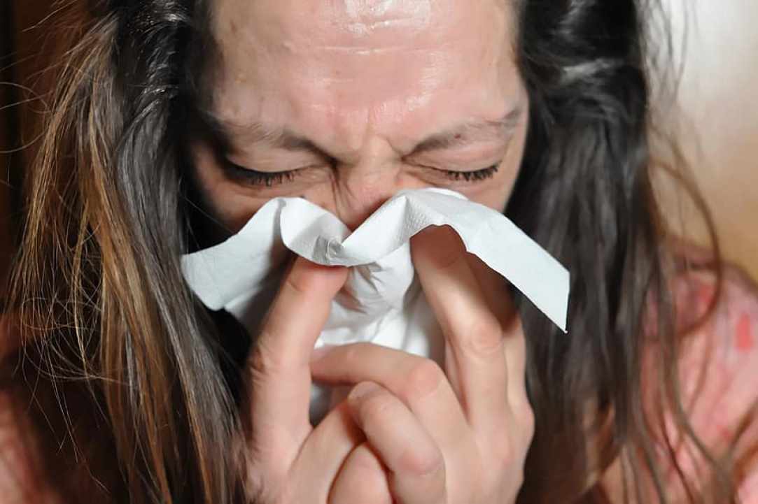 The aromatic mint