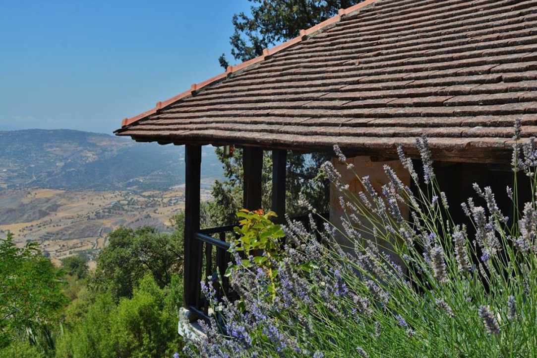 Panagia Chrysorrogiatissa Monastery