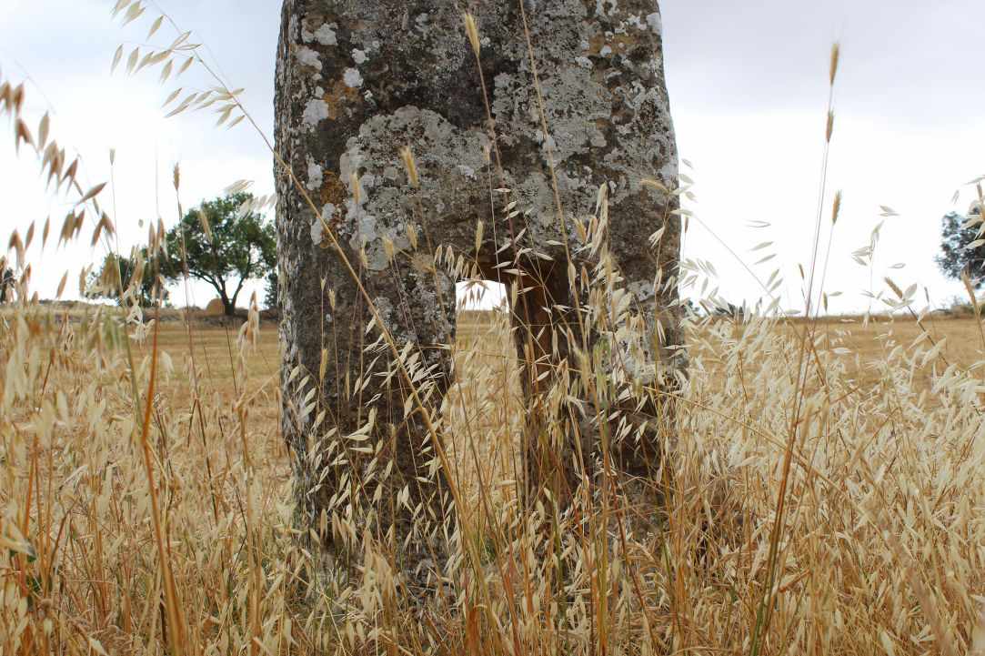 Great monoliths.