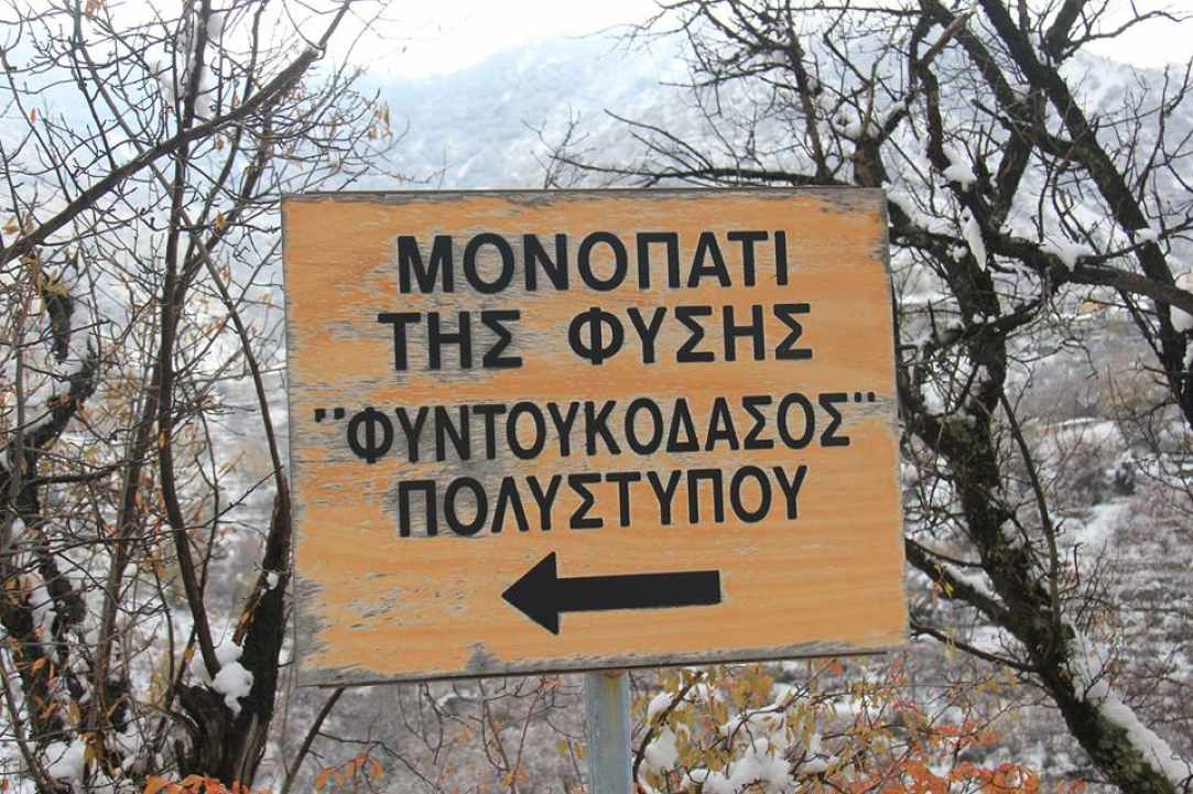 Το χωριό Πολύστυπος Πιτσιλιάς 