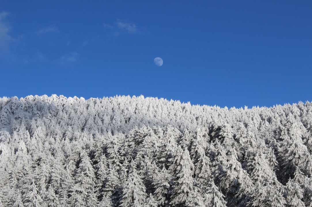 Snowy Mountains of Troodos