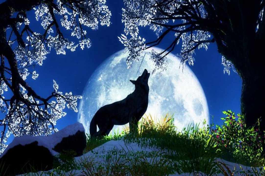 The First Full Wolf Moon 2020