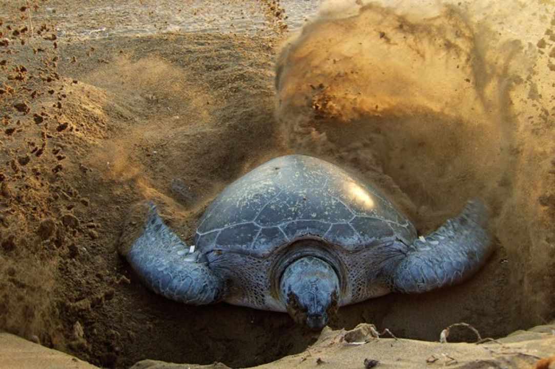 Diving in Cyprus