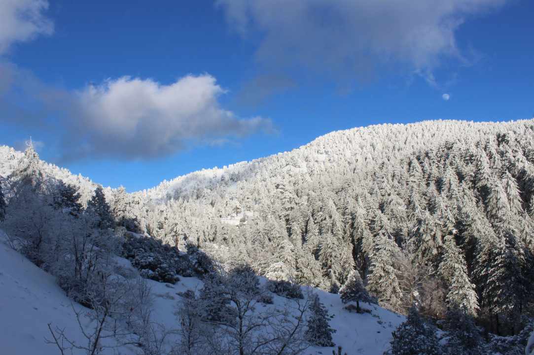 Snowy Mountains of Troodos