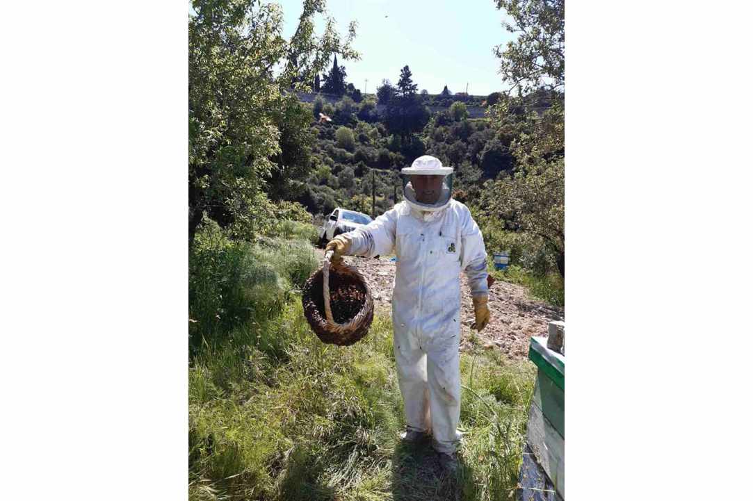 Μουσείο Μέλισσας και Κεντήματος