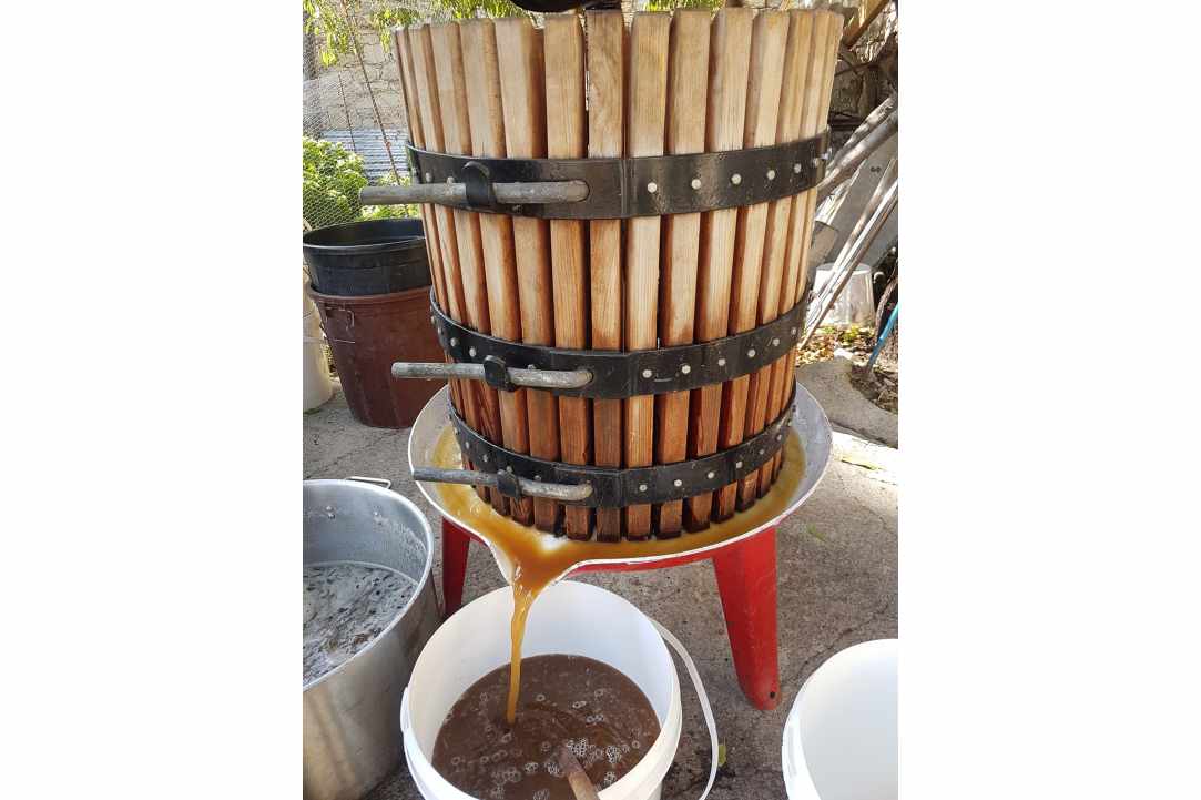 Μουσείο Μέλισσας και Κεντήματος