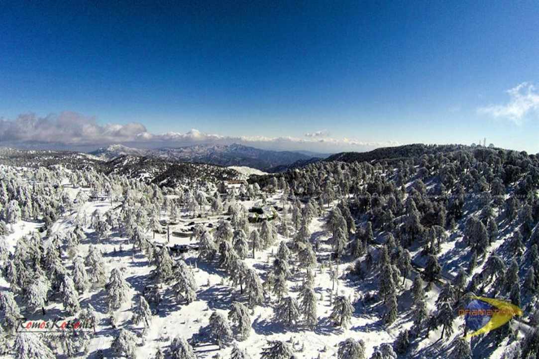 Rough sea and the frozen forest