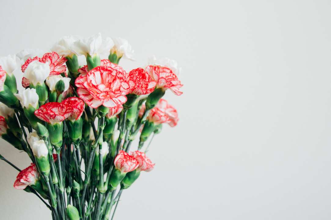 Different Types of Flowers in Cyprus