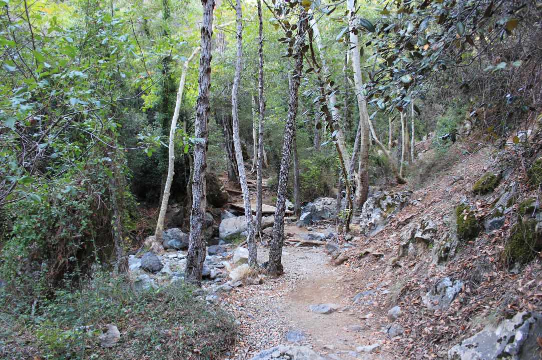 Kalidonia waterfall