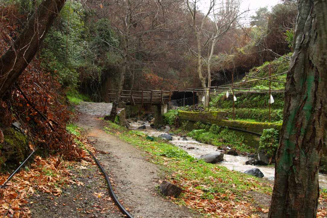  Walking Festival: 4th March - 13th May 2018