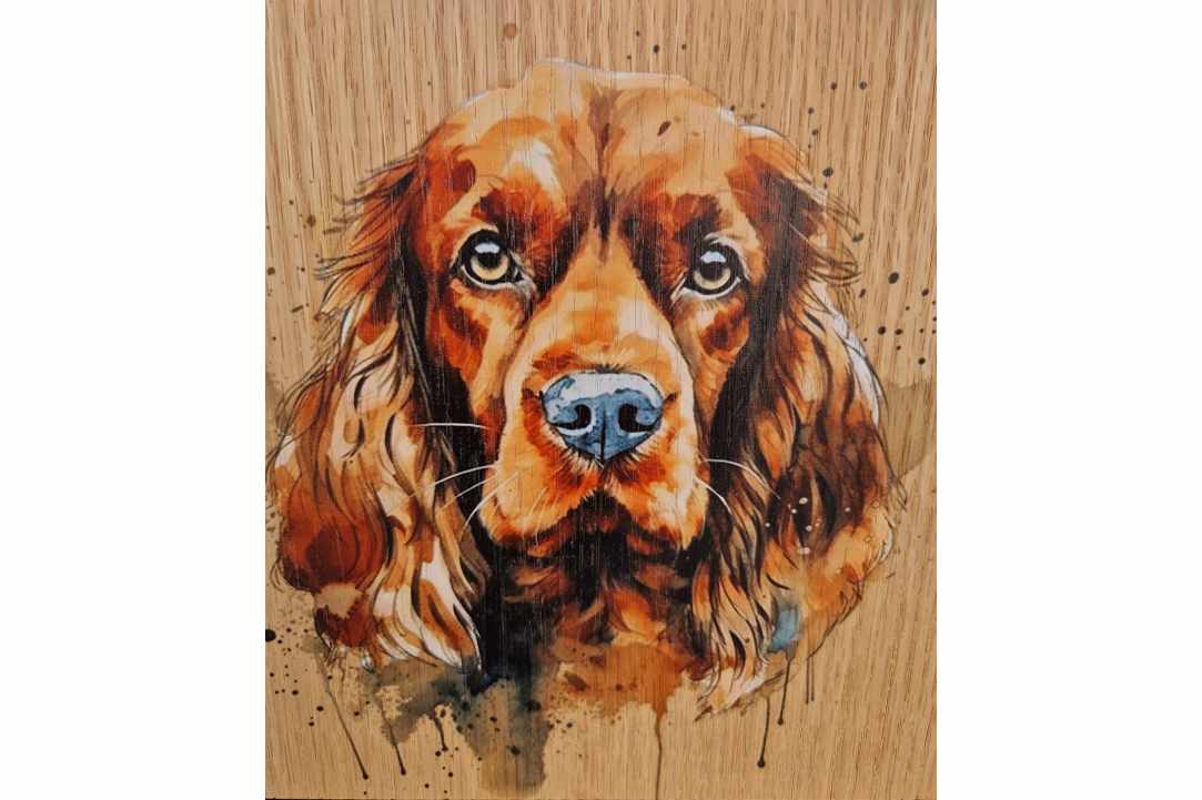 Express Your Love for Your Pet with a Timeless Work of Art