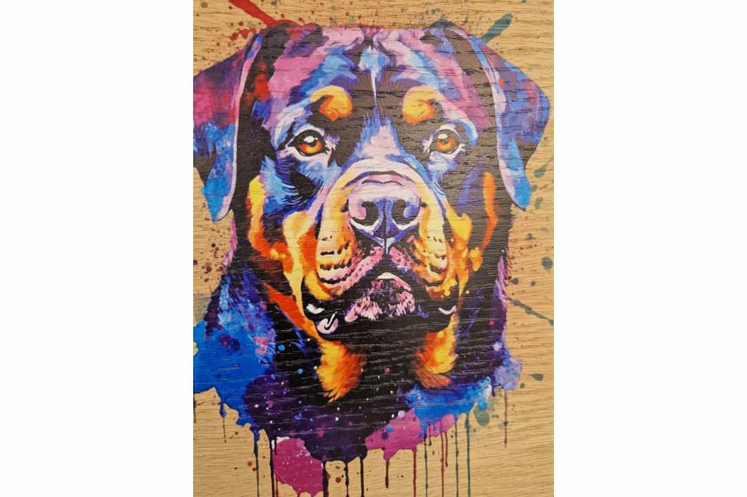Express Your Love for Your Pet with a Timeless Work of Art