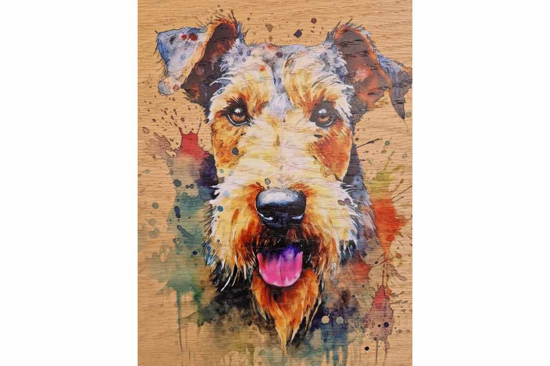 Express Your Love for Your Pet with a Timeless Work of Art