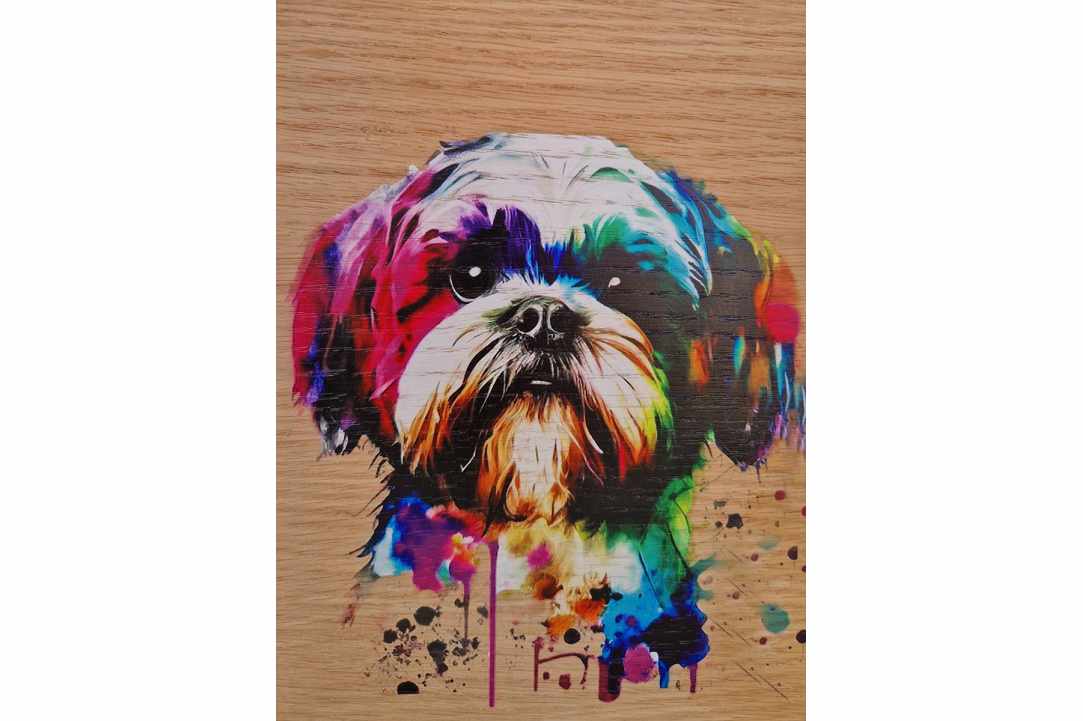 Express Your Love for Your Pet with a Timeless Work of Art