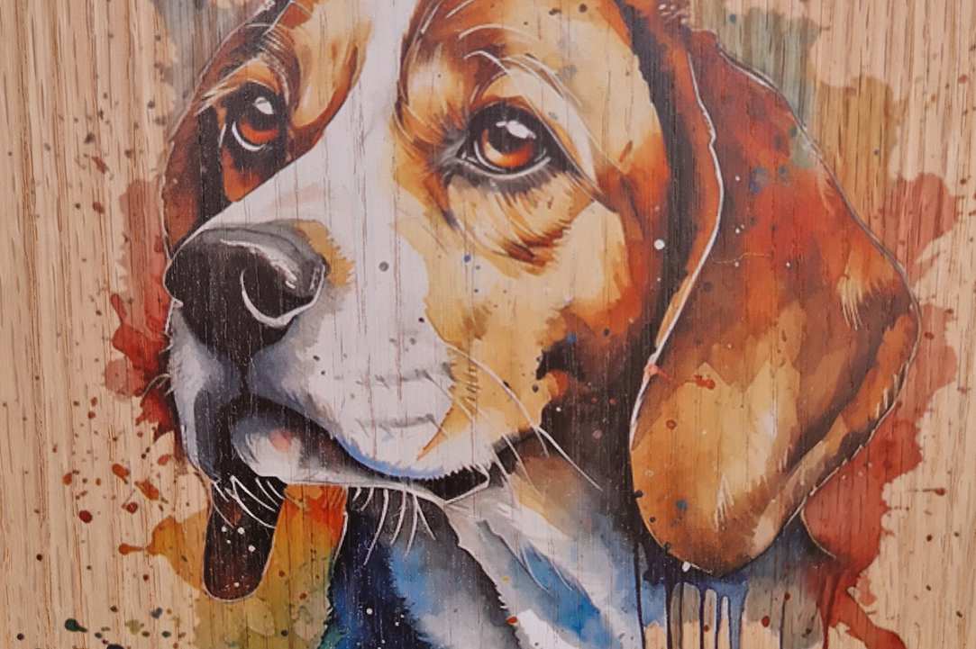 Express Your Love for Your Pet with a Timeless Work of Art