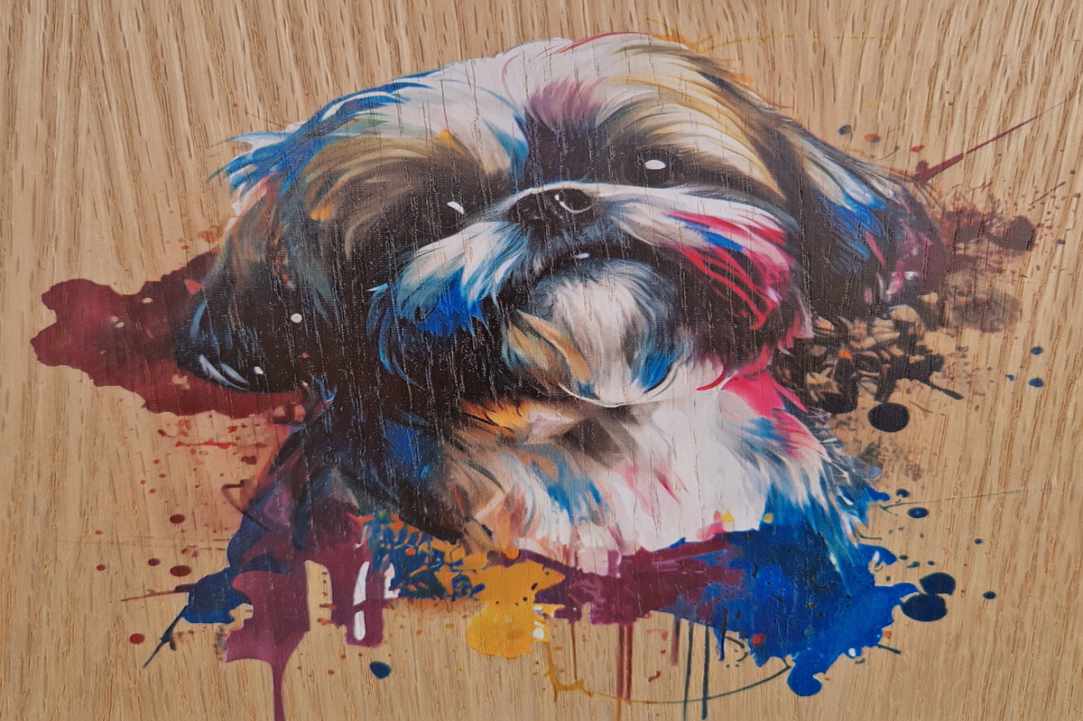 Express Your Love for Your Pet with a Timeless Work of Art