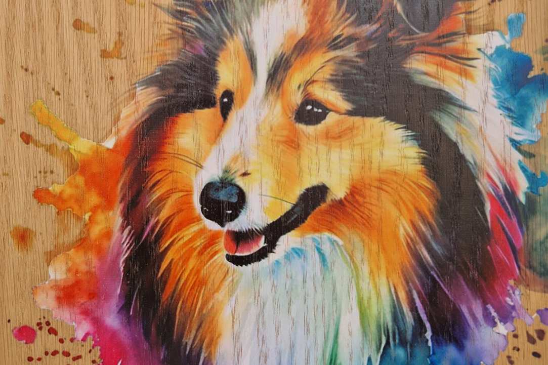 Express Your Love for Your Pet with a Timeless Work of Art