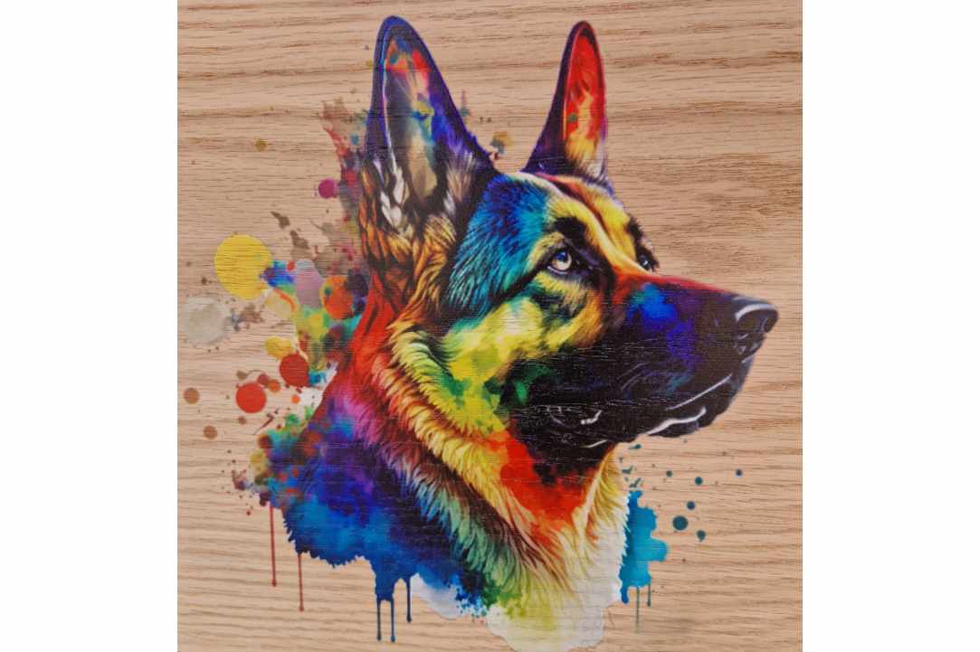 Express Your Love for Your Pet with a Timeless Work of Art