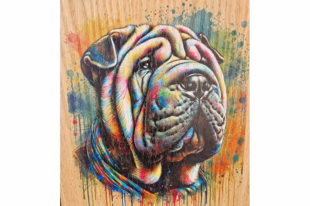 Express Your Love for Your Pet with a Timeless Work of Art