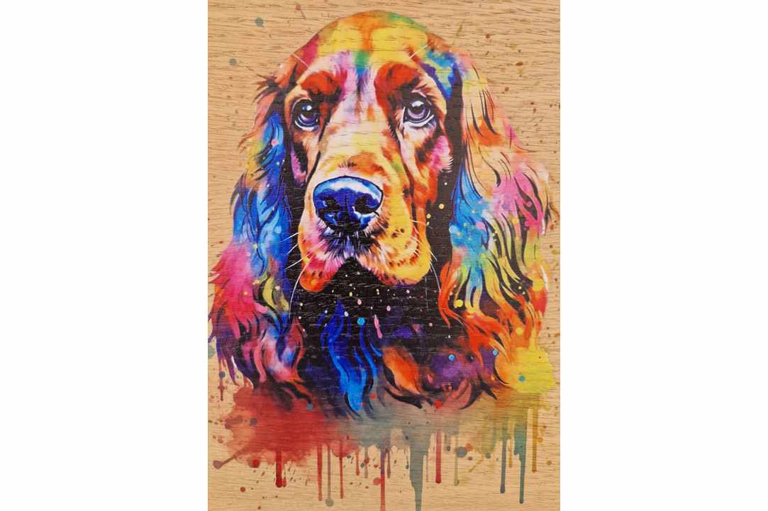 Express Your Love for Your Pet with a Timeless Work of Art