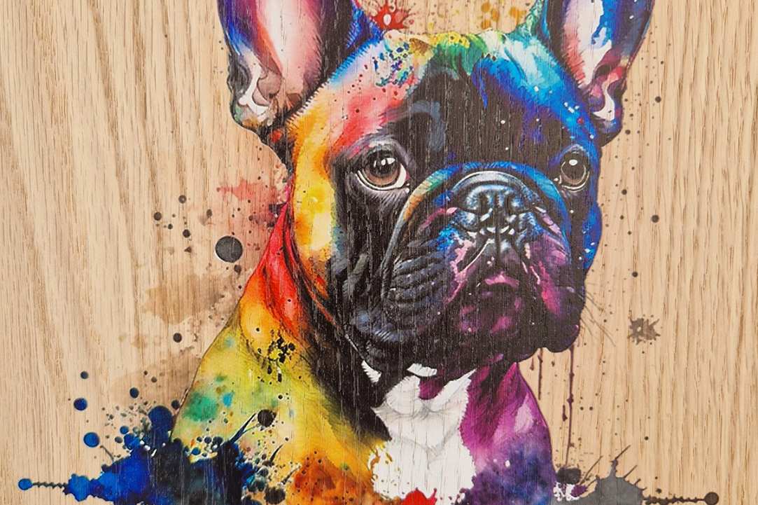 Express Your Love for Your Pet with a Timeless Work of Art