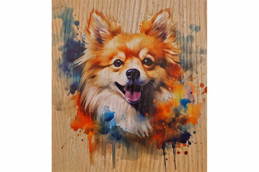 Express Your Love for Your Pet with a Timeless Work of Art