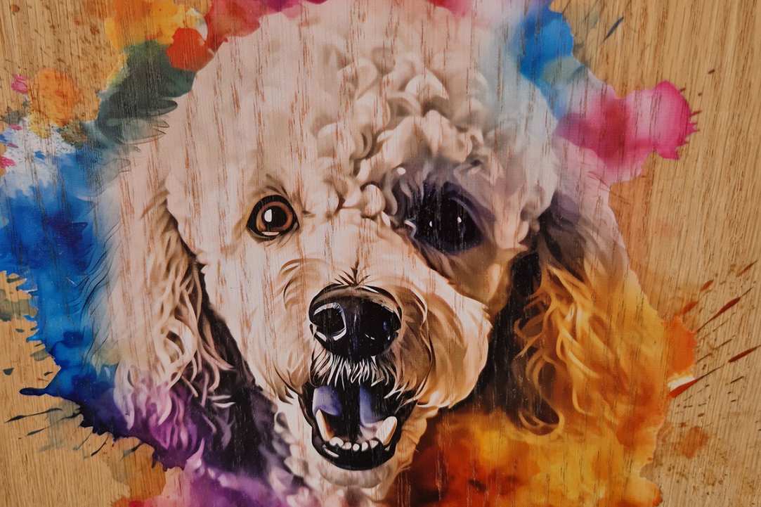Express Your Love for Your Pet with a Timeless Work of Art