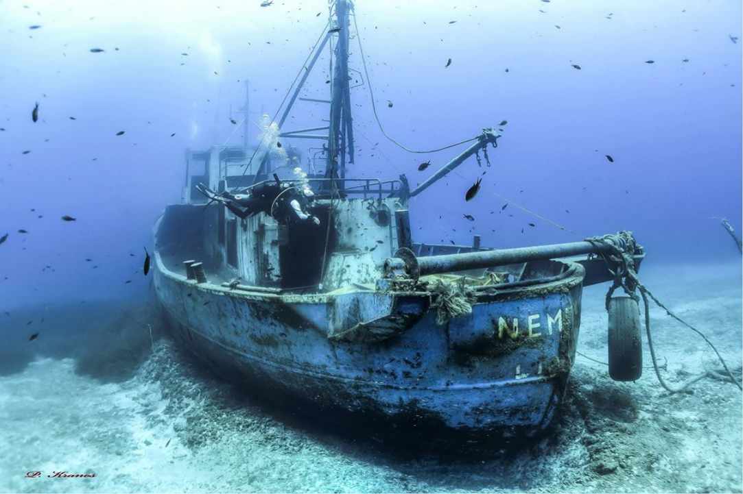 Marine Protected Areas with artificial reef