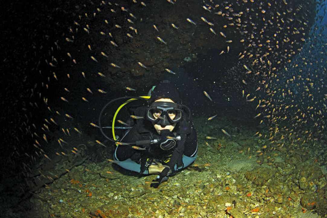 Night Dive
