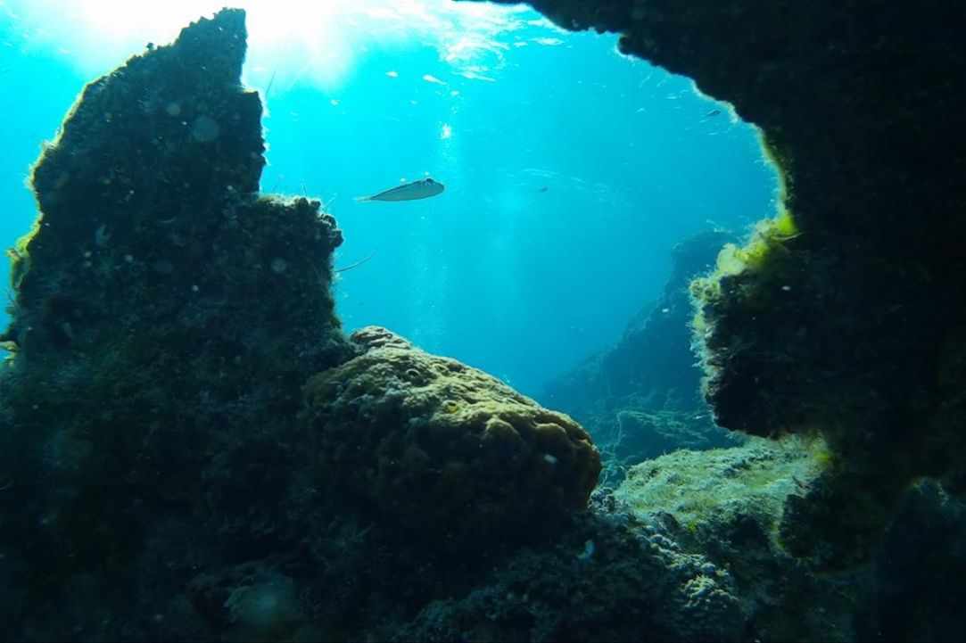 FREE Scuba Lesson on 12 June