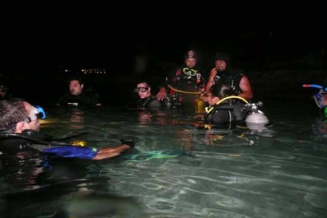 Night Dive